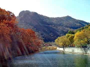 新澳天天开奖资料大全旅游团，天选泛目录